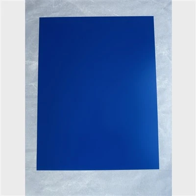 CTP termiline